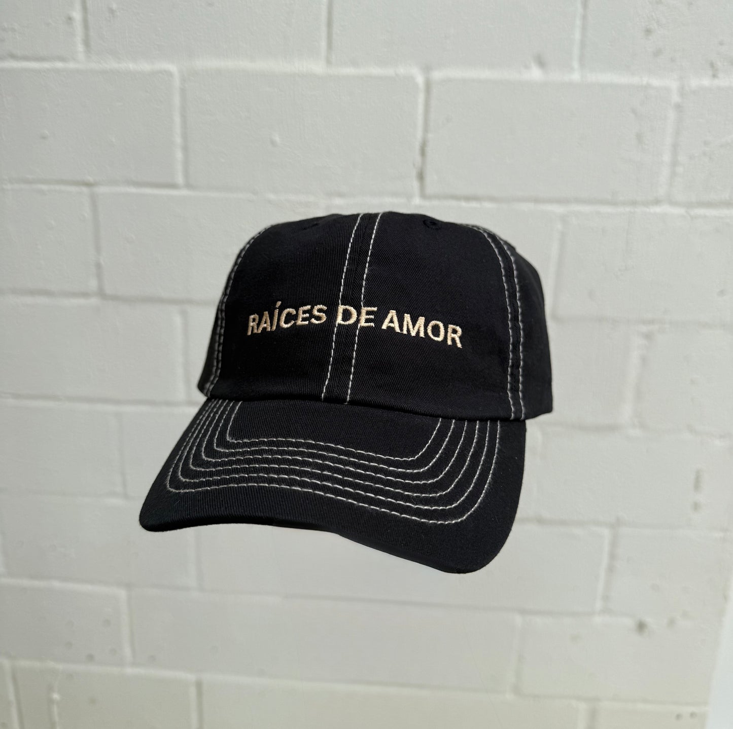 'Raíces De Amor' Black Stitched Hat